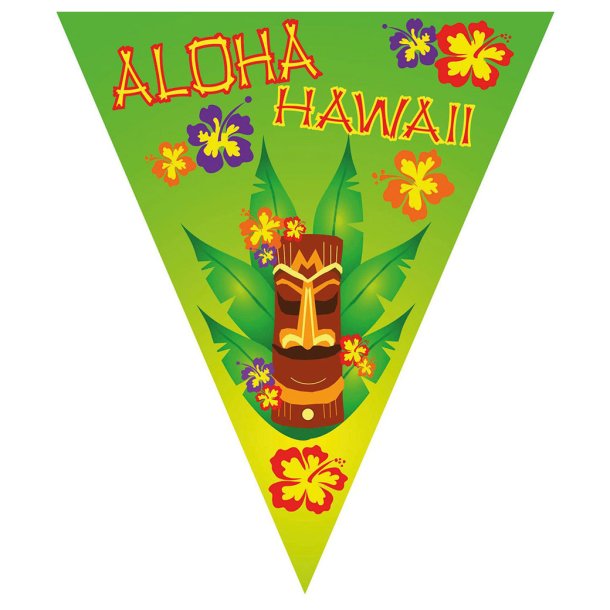 Hawaii flag vimpel, 5 meter (10 flag)