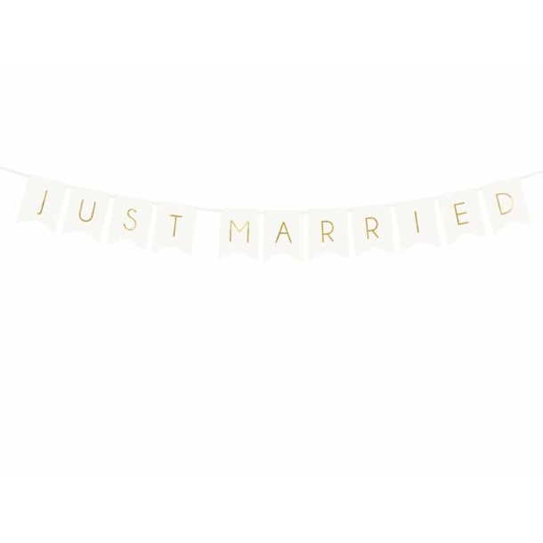 Just Married Banner